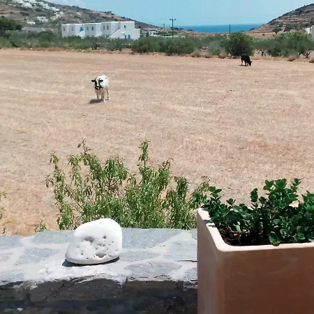 Traditional Tiny House * Αγκαιριά