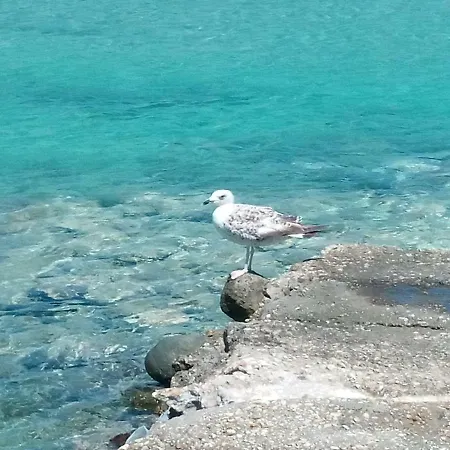 Ferienhaus Traditional Tiny House Angairiá