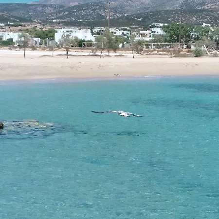 Ferienhaus Traditional Tiny House