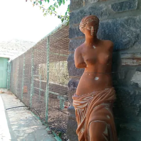 Traditional Tiny House *