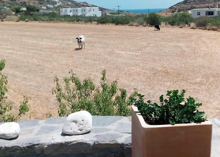 Traditional Tiny House * Angairia