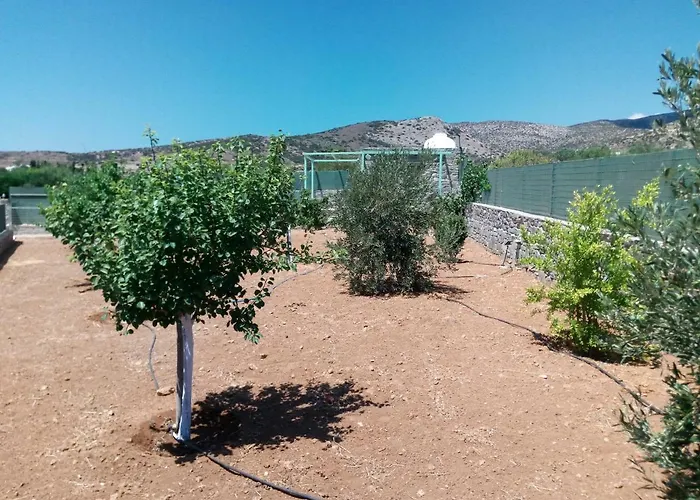 Traditional Tiny House Дом отдыха *