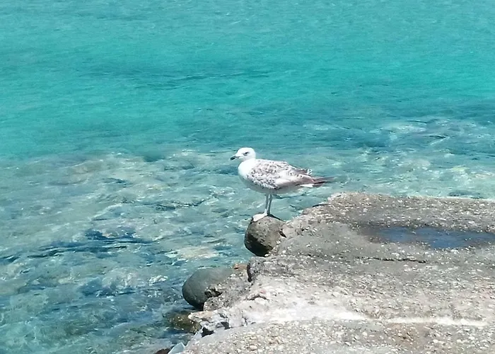 Дом отдыха Traditional Tiny House Angairia