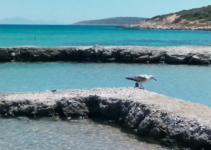 Traditional Tiny House * Angairia