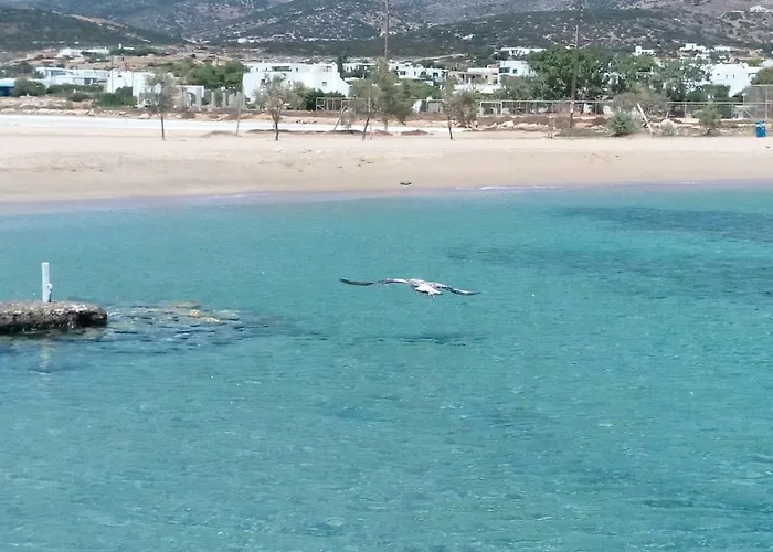 Дом отдыха Traditional Tiny House